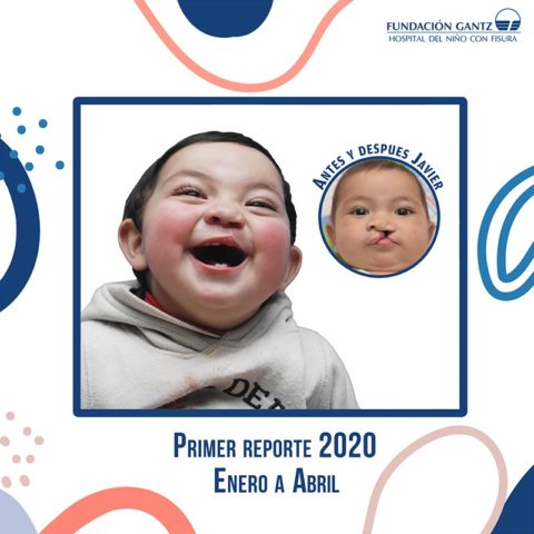 Primer Newsletter 2020 de Fundación Gantz
