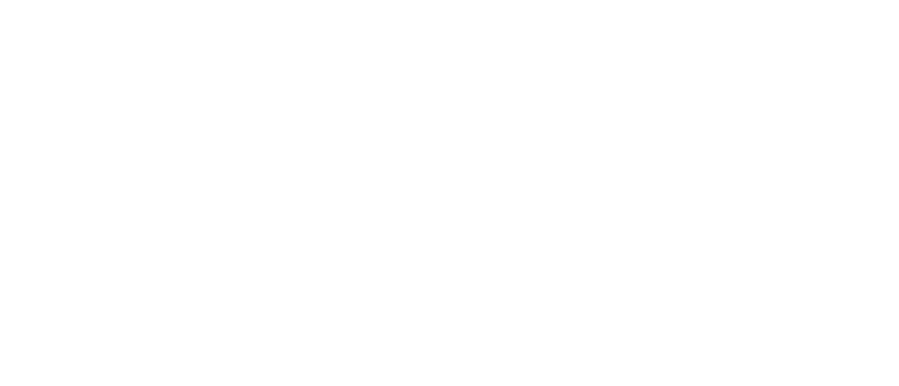 Fundación Gantz