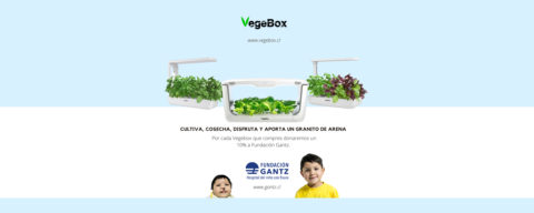 VegeBox ayuda a sonreír