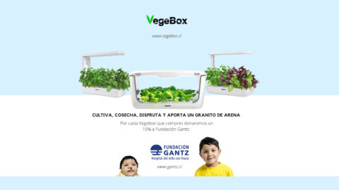 VegeBox ayuda a sonreír