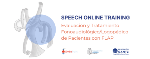 Fundación Gantz capacita a profesionales de España