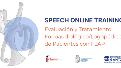 Fundación Gantz capacita a profesionales de España