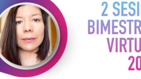 2 Sesión Bimestral Virtual 2024