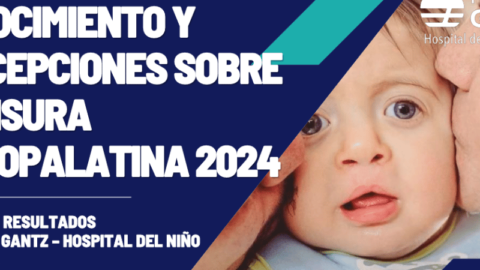 Fundación Gantz e Ipsos: Pese a amplio conocimiento sobre el labio fisurado, se desconocen los desafíos de su tratamiento 