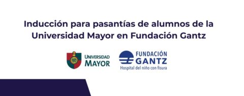 Profesionales de Fundación Gantz realizan charlas de inducción a alumnos de Universidad Mayor previo a sus pasantías
