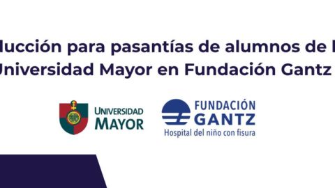 Profesionales de Fundación Gantz realizan charlas de inducción a alumnos de Universidad Mayor previo a sus pasantías