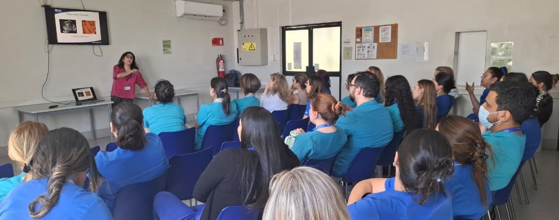 Fundación Gantz fortalece trabajo colaborativo con capacitación a equipo dental de CESFAM Aníbal Ariztía de Las Condes